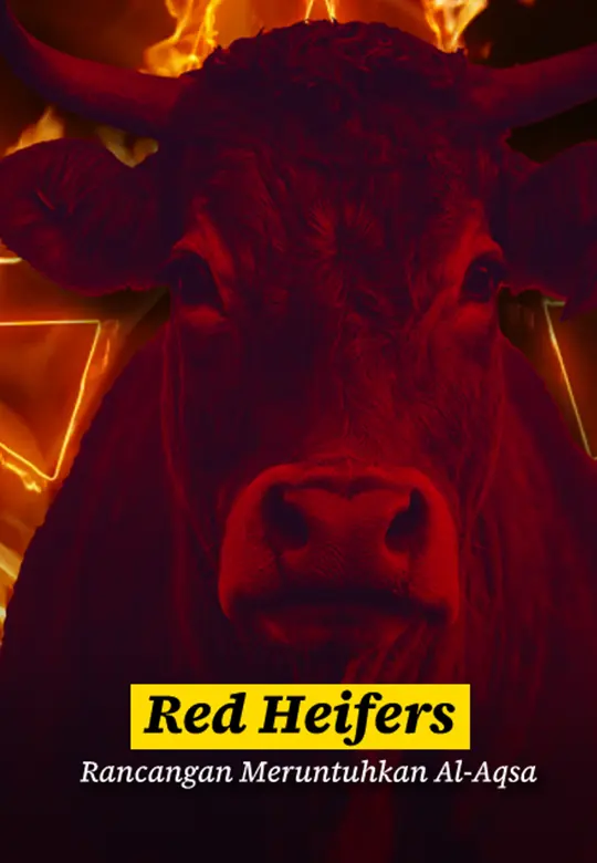 Lembu Merah ‘Red Heifers’ - Rancangan Yahudi Di Masjid Al-Aqsa